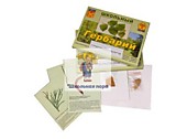 Гербарий "Основные группы растений. Грибы. Лишайники" (53 листа, с иллюстрациями и фотографиями)