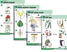 Комплект таблиц по биологии дем. "Ботаника 2" (18 табл., формат А1)