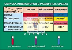 Таблица виниловая "Окраска индикаторов в различных средах"