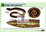 Рельефная таблица "Внутреннее строение дождевого червя" (формат А1)