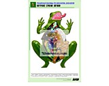 Рельефная таблица "Внутреннее строение лягушки" (формат А1)