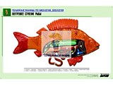 Рельефная таблица "Внутреннее строение рыбы" (формат А1)