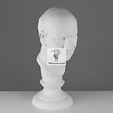 Гипсовая фигура "Голова римлянина"
