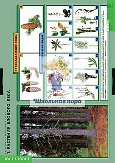 Комплект таблиц "Растения и окружающая среда"