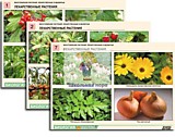 Комплект таблиц по ботанике раздаточный "Многообразие растений. Лекарственные и ядовитые"(16 шт.,А4 