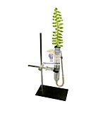 Прибор для демонстрации всасывания воды корнями(ПО ПРИКАЗУ № 336 КОД: 2.16.30) Прибор для демонстрации всасывания воды корнями(ПО ПРИКАЗУ № 336 КОД: 2.16.30)