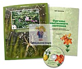 Электронное наглядное пособие "Органы цветкового растения"